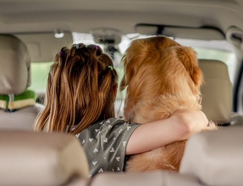 Dogs and Children